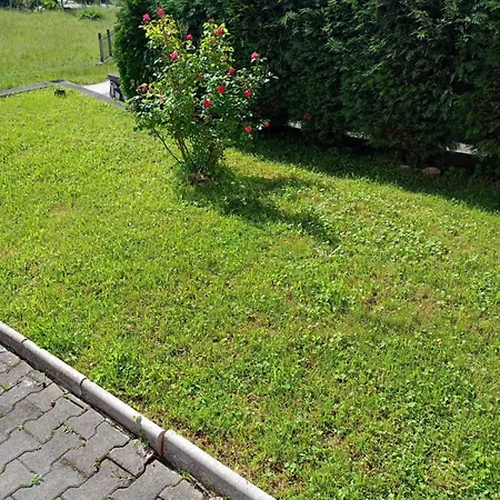 In Breza Village Zalozje